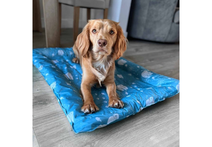 Ancol Ice Paws Dog Cooling Bed