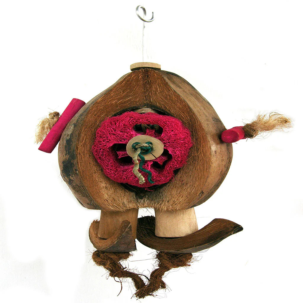 Adventure Bound Java Coco De Nut Bird Toy