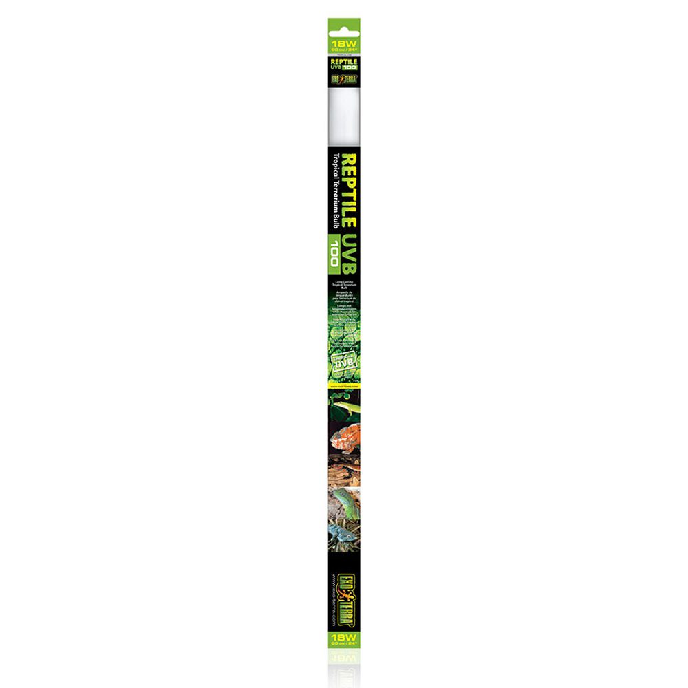 A linear Exo Terra Reptile UVB100 T8 fluorescent bulb for tropical terrarium lighting, showing the branded packaging and tube.