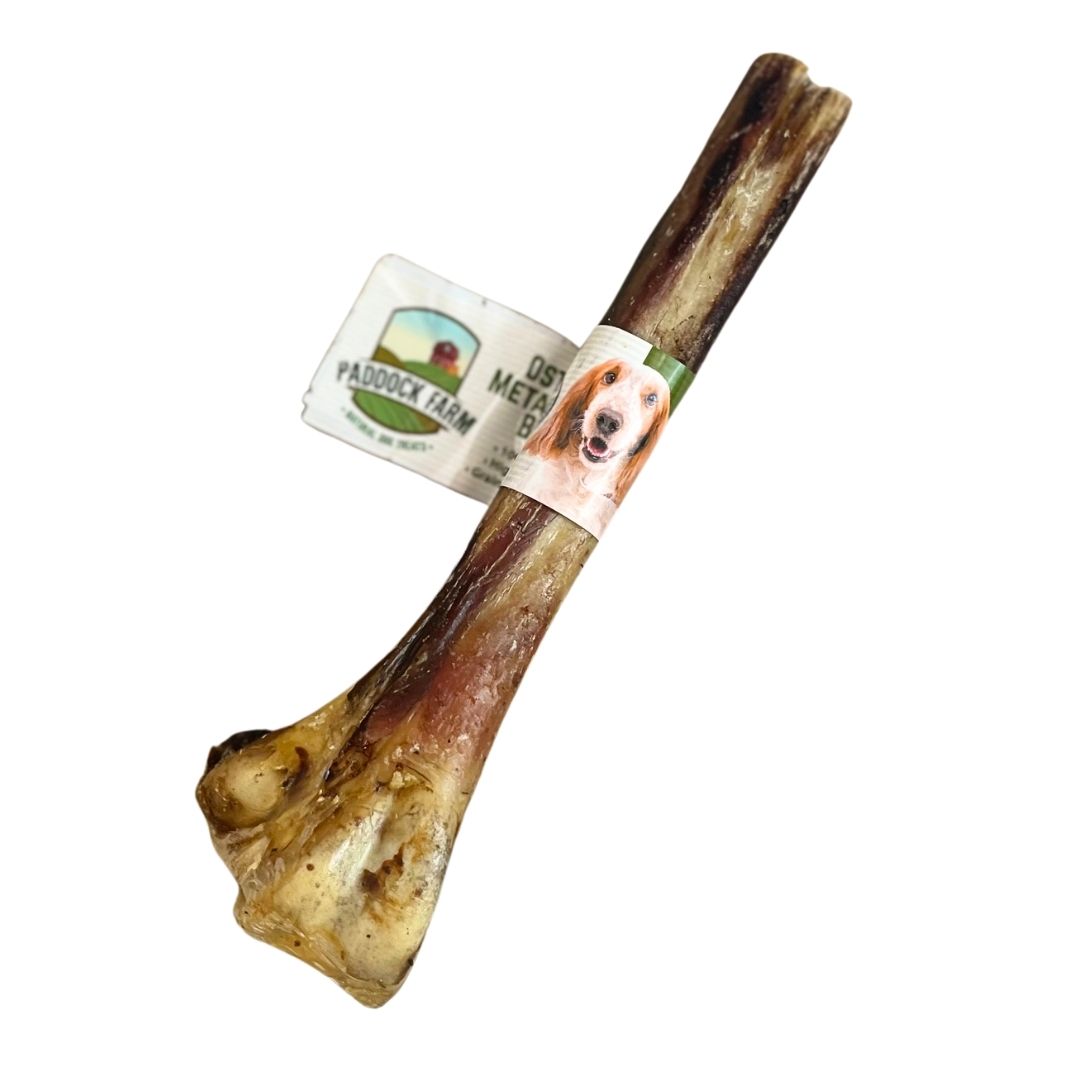 Ostrich Metatarsus Bone Dog Treat
