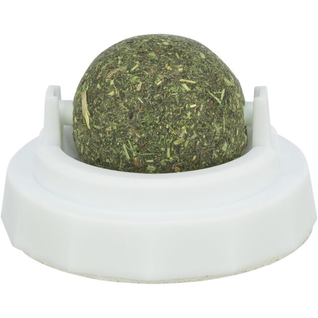 A wall-mounted white plastic Trixie holder containing a round, green compressed catnip ball with a clear protective lid.