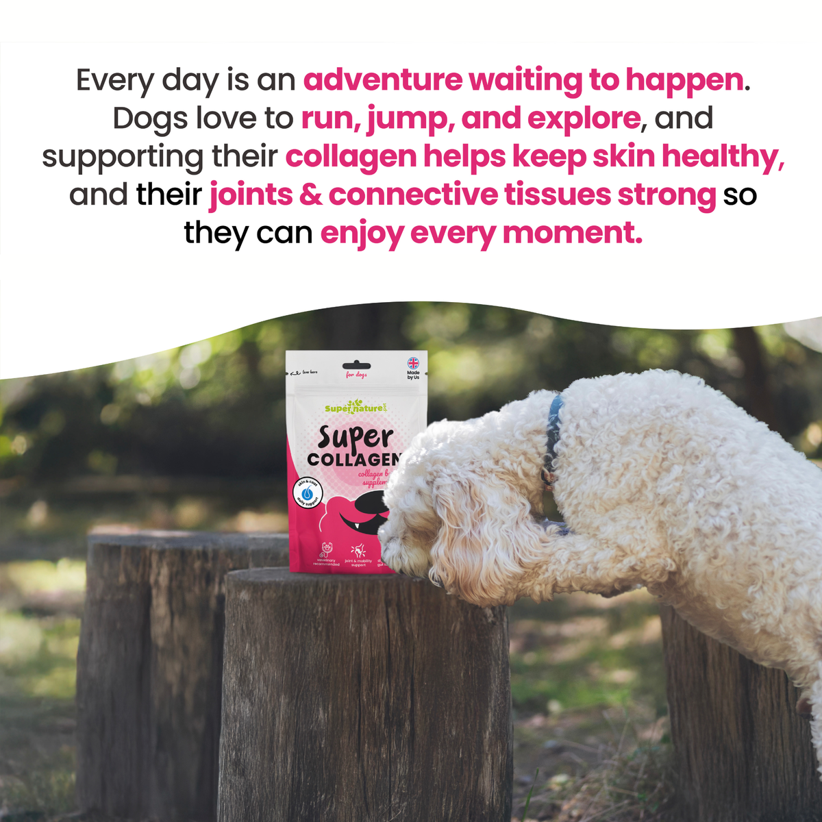 Supernature Super Collagen Boost - product detail