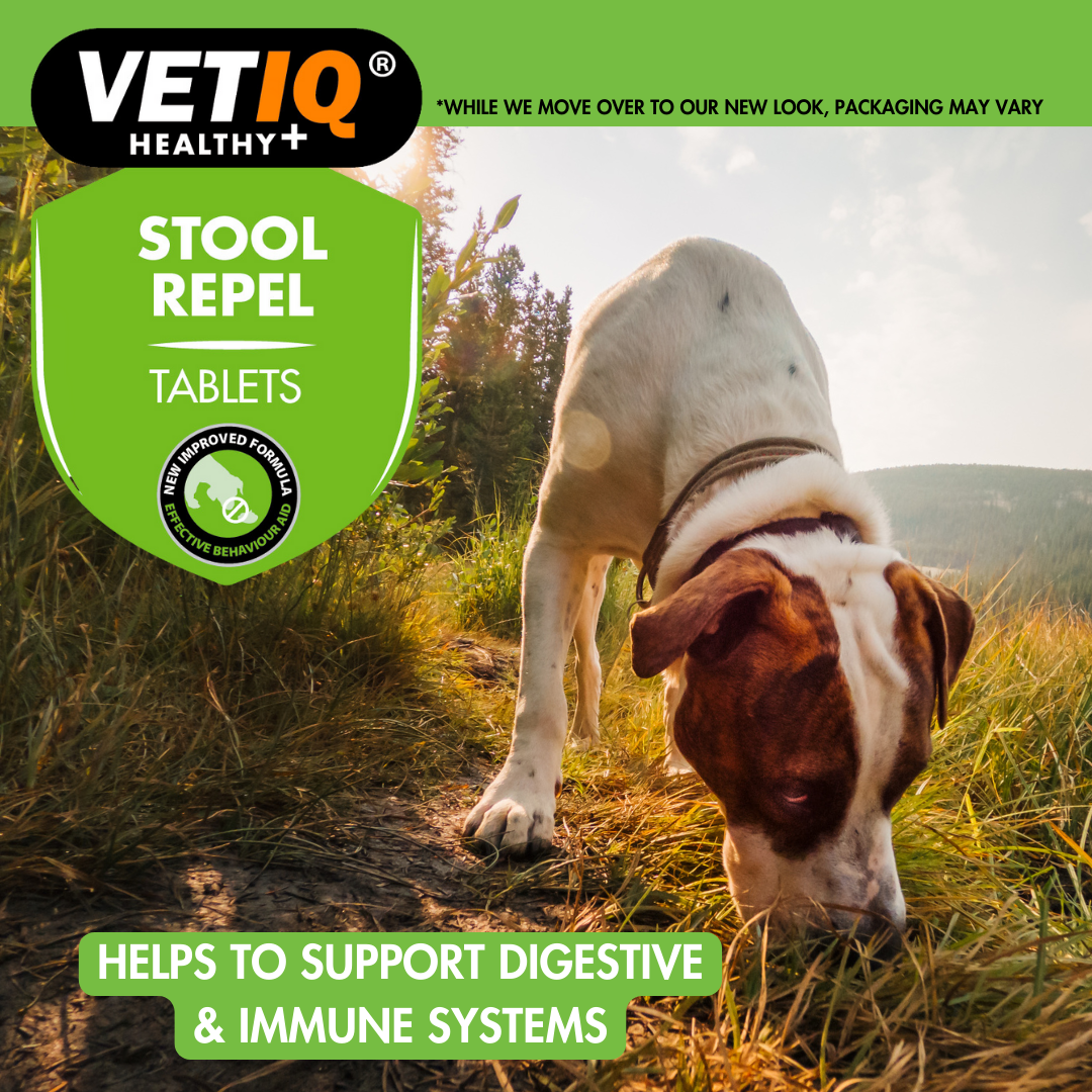 VETIQ Stool Repel lifestyle image