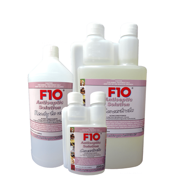 F10 Antiseptic Solution bottle