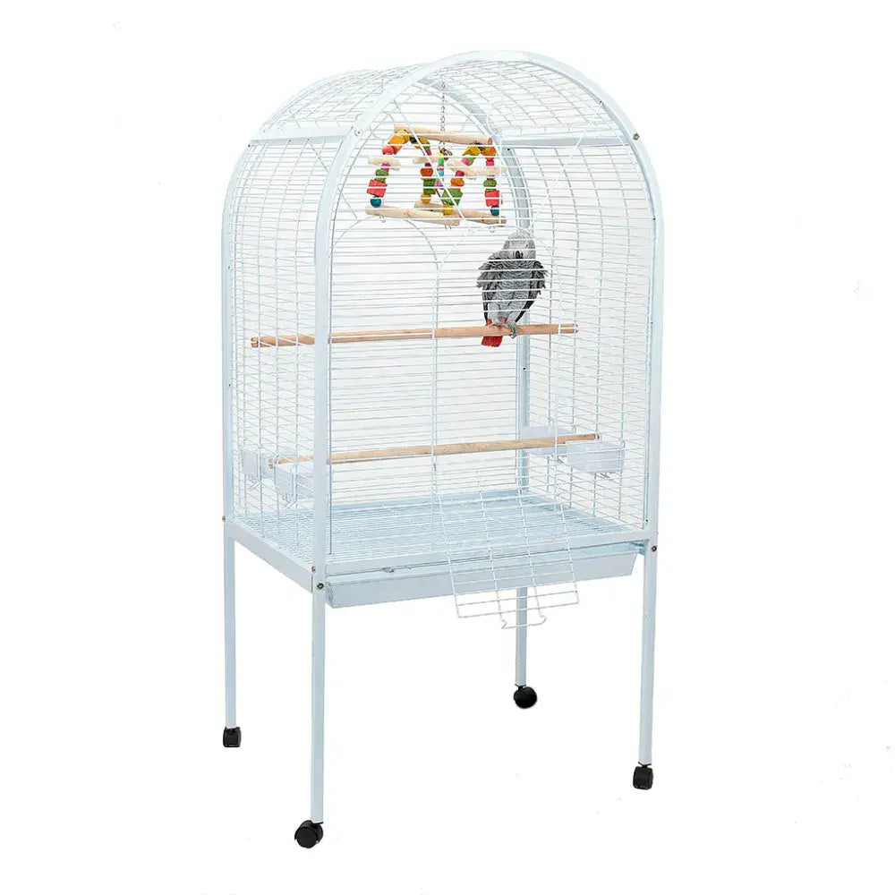 Liberta Apollo Parrot Cage