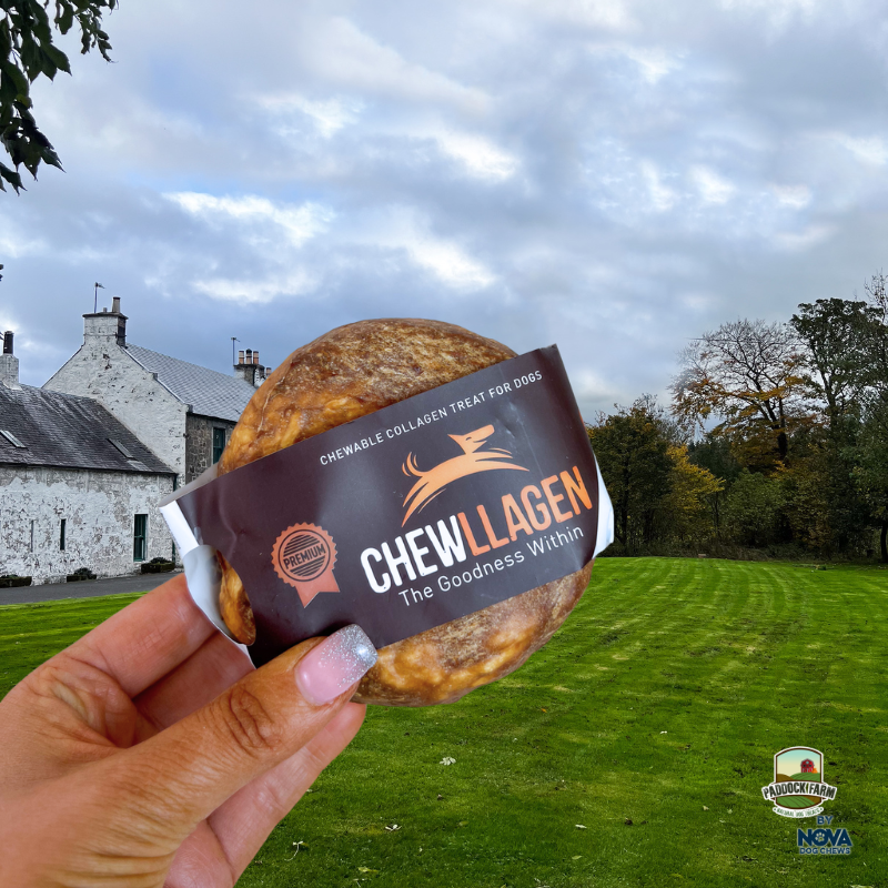 Chewllagen Beef Donut dog chew pack