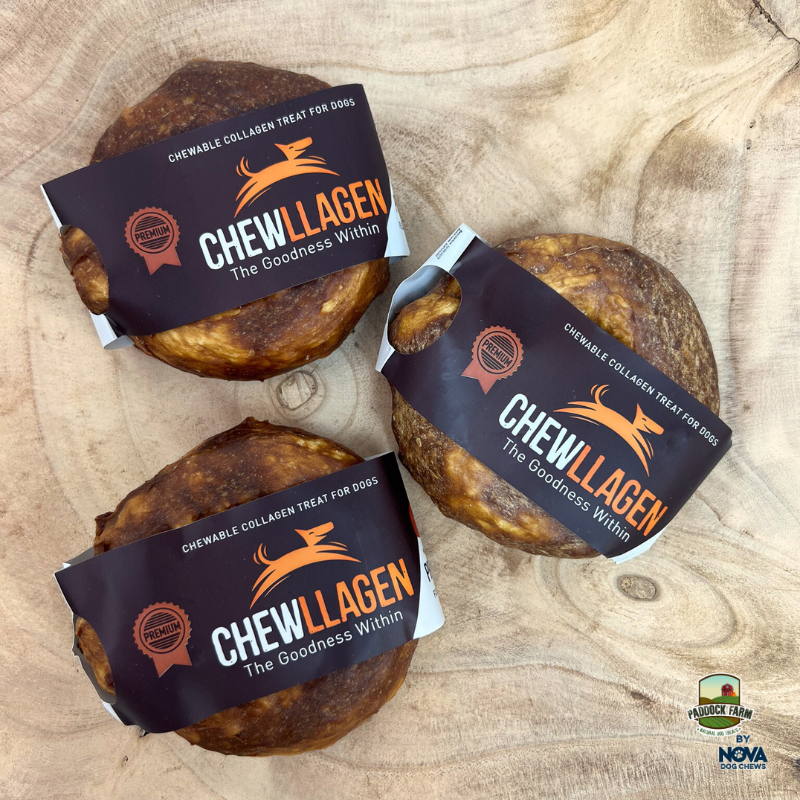 Chewllagen Proper Beef Donut 3.5 inch collagen dog chew