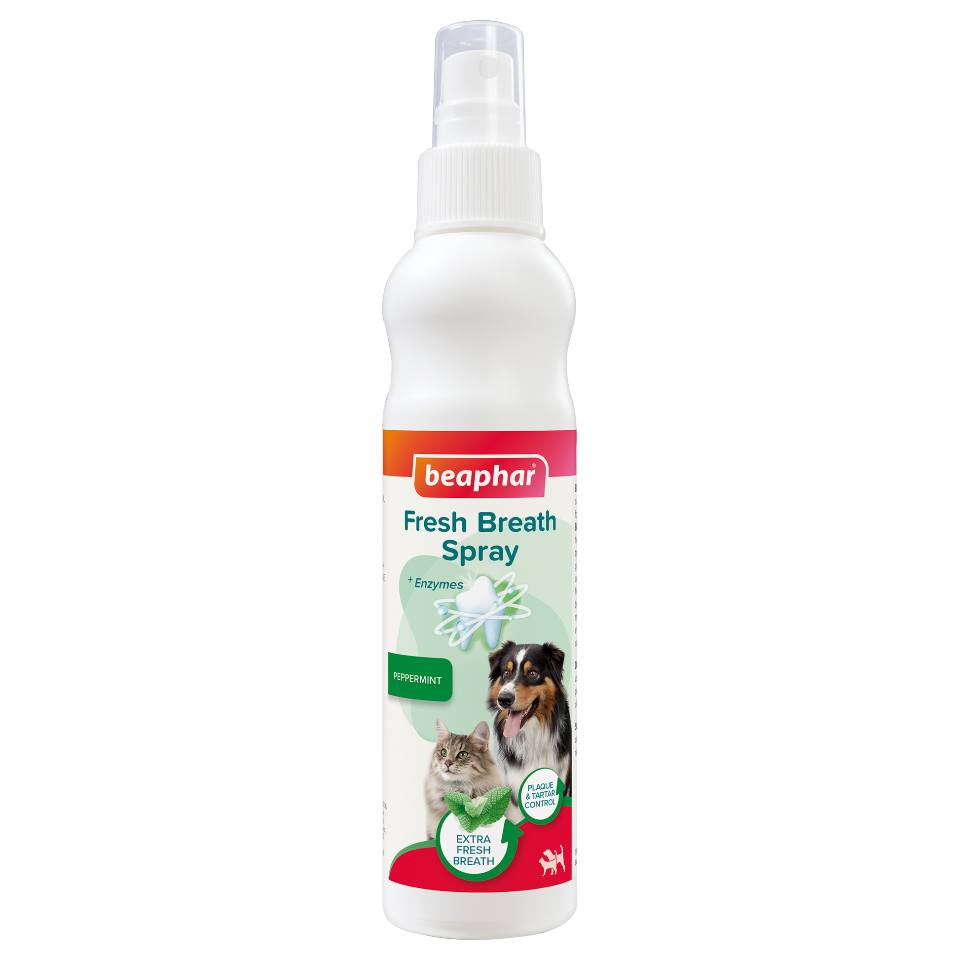 A bottle of Beaphar Fresh Breath Spray for dogs, featuring a pump nozzle for easy application to the teeth and gums.