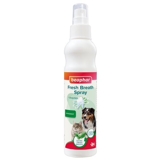 A bottle of Beaphar Fresh Breath Spray for dogs, featuring a pump nozzle for easy application to the teeth and gums.