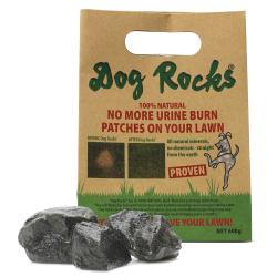 Dog Rocks Igneous Rock
