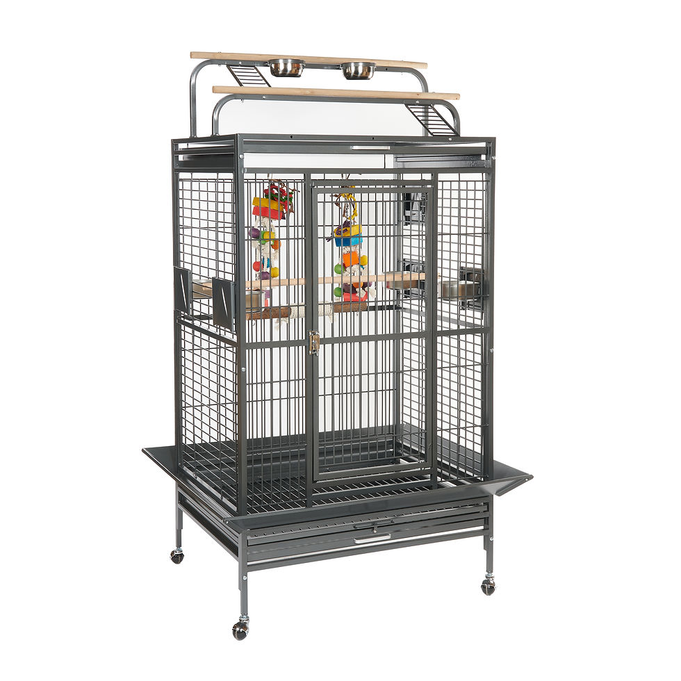 Rainforest Santos Play Cage Antique - second angle