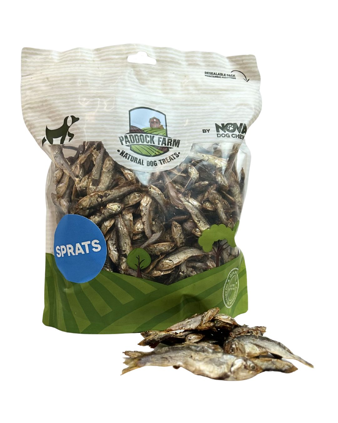 A handful of whole, air-dried Paddock Farm sprats, showing the natural silver scales and crunchy texture of these healthy fish treats for dogs.