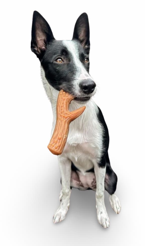 Maks Patch Peanut Butter Antlers