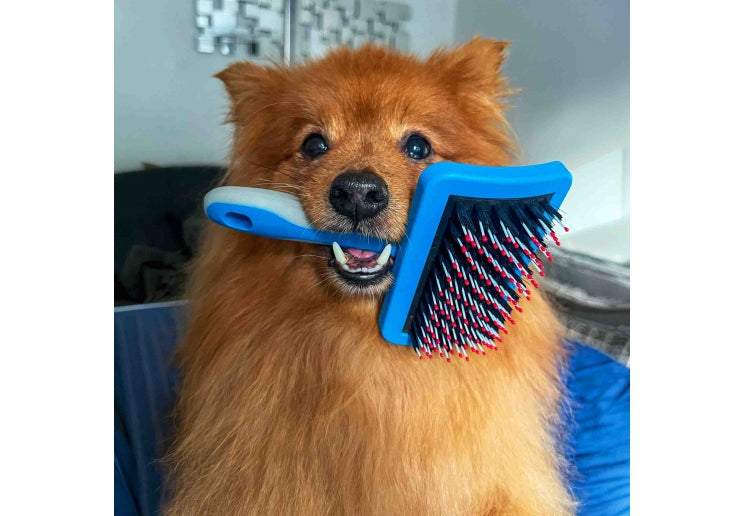 Ancol Ergo Dog HedgeHog Slicker Brush - second angle