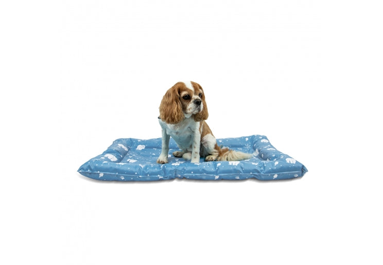 Ancol Ice Paws Dog Cooling Bed
