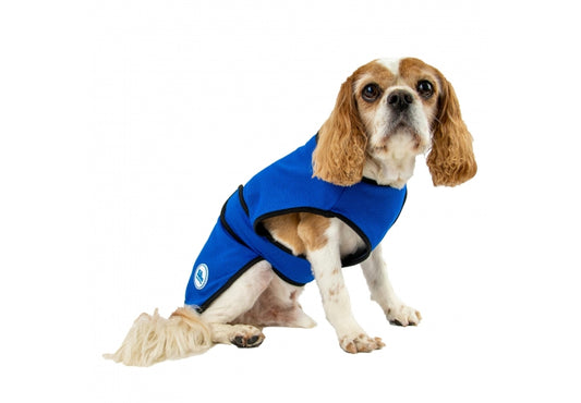 An Ancol branded dog cooling vest worn by a dog, showcasing the technical fabric and comfortable, adjustable design.