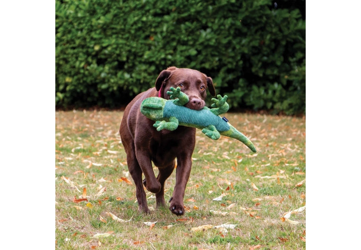 Ancol Cuddle Lizard Soft Toy - second angle