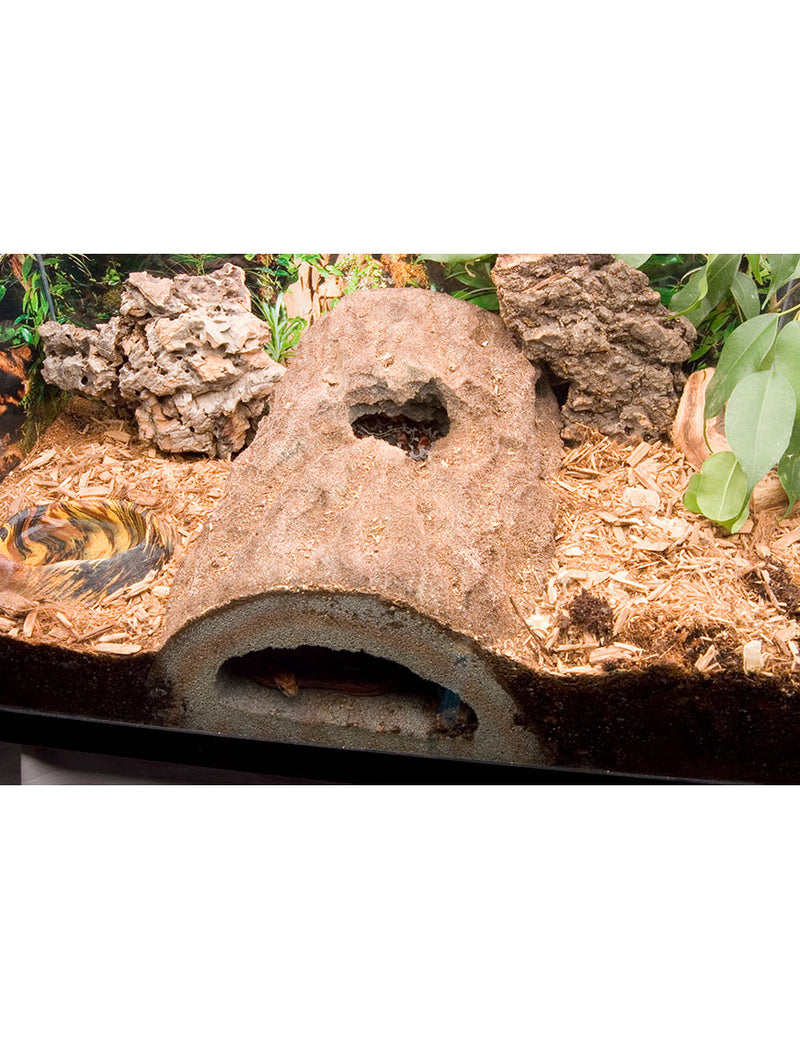 Rockview Caverns installed in a terrarium