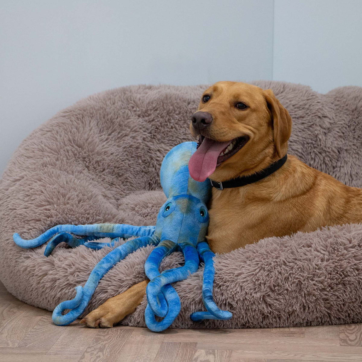 Ancol Cuddle Phil the Kraken - second angle