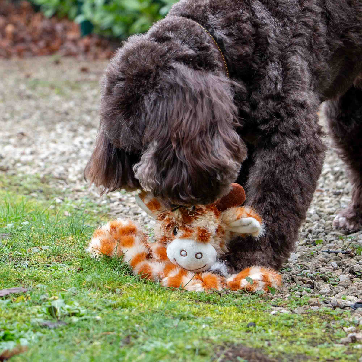 Ancol Cuddle Giraffe Floppet Soft Toy - second angle