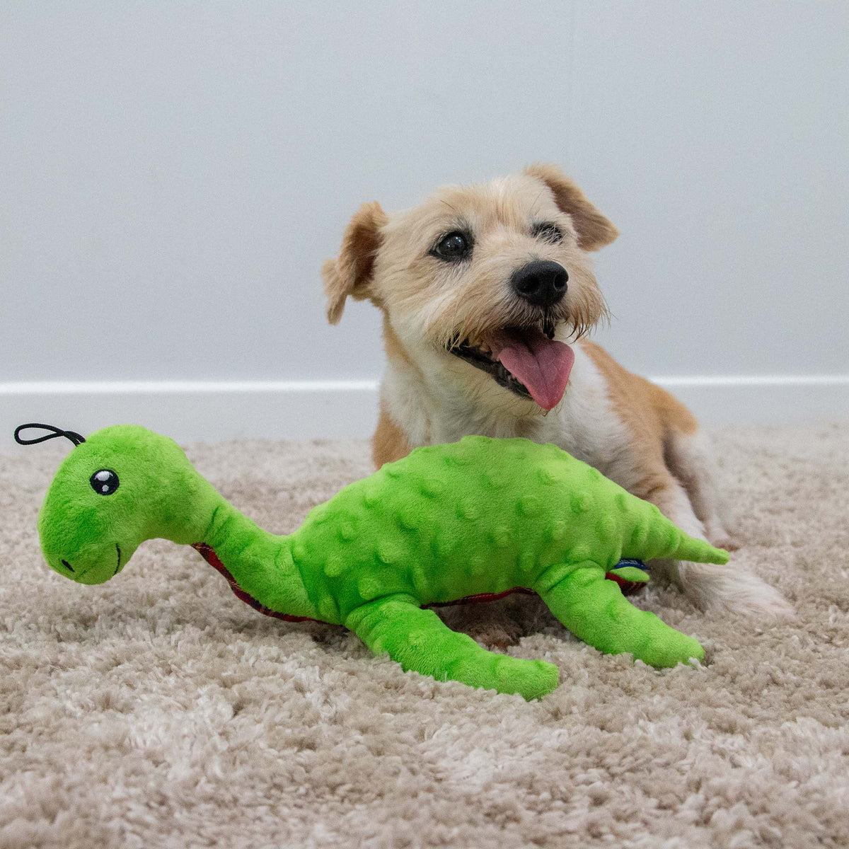 Ancol Cuddle Lottie Loch Ness Monster Soft Toy - second angle