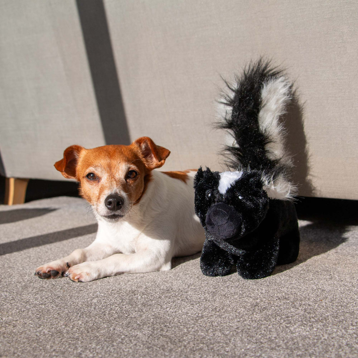 Ancol Cuddle Skunk Soft Toy - second angle