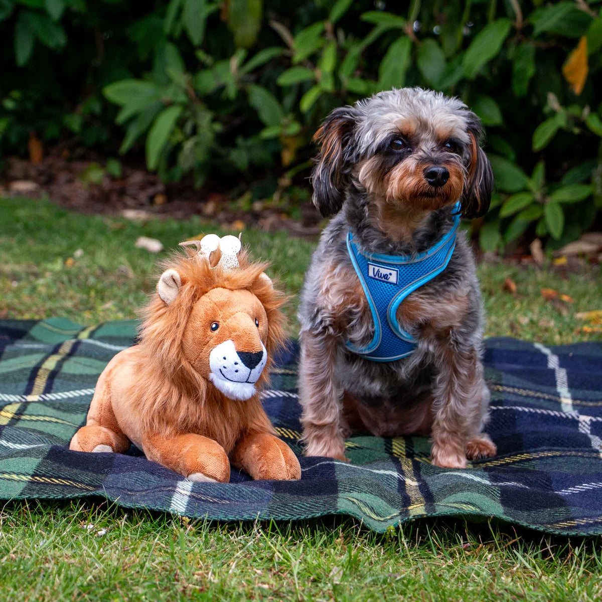 Ancol Cuddle King Leo the Lion - second angle
