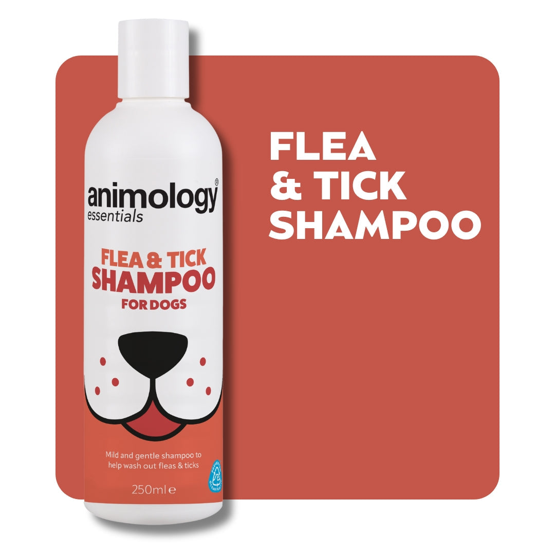 Animology Essentials Flea and Tick Shampoo 250ml back label