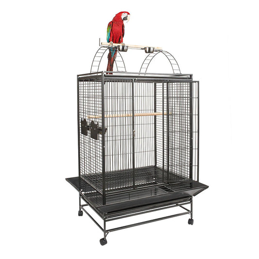 Rainforest Cages Belize Play Top Parrot Cage