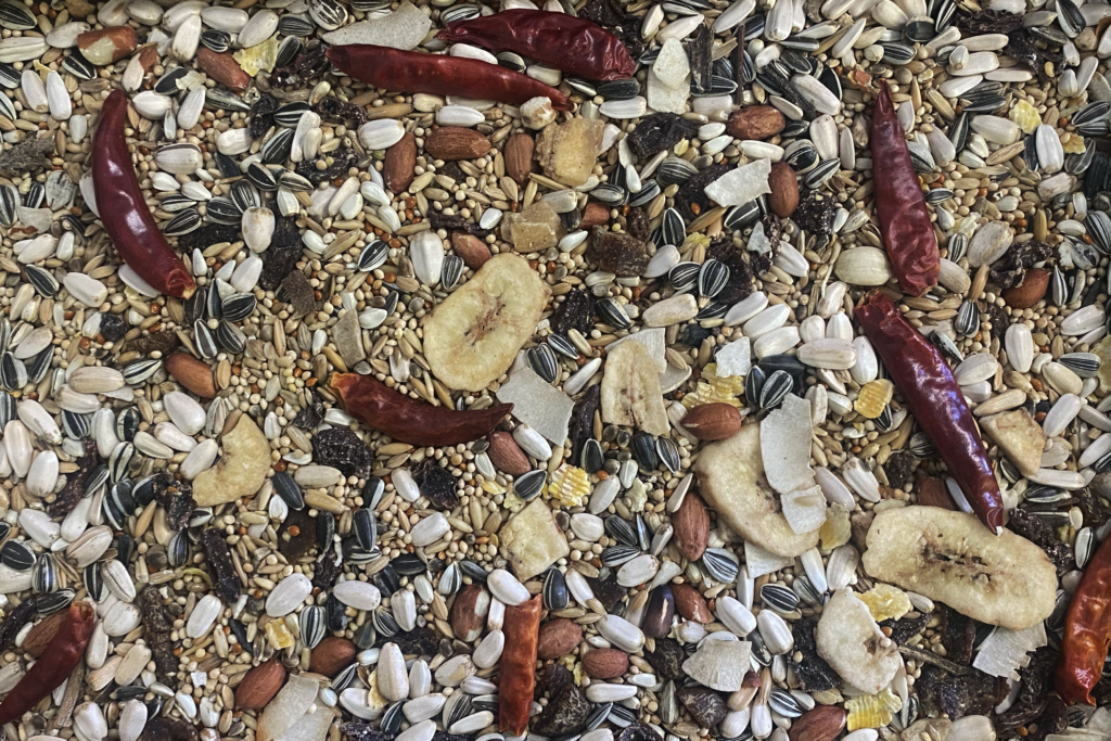 Johnston & Jeff Premium Fruity Parakeet