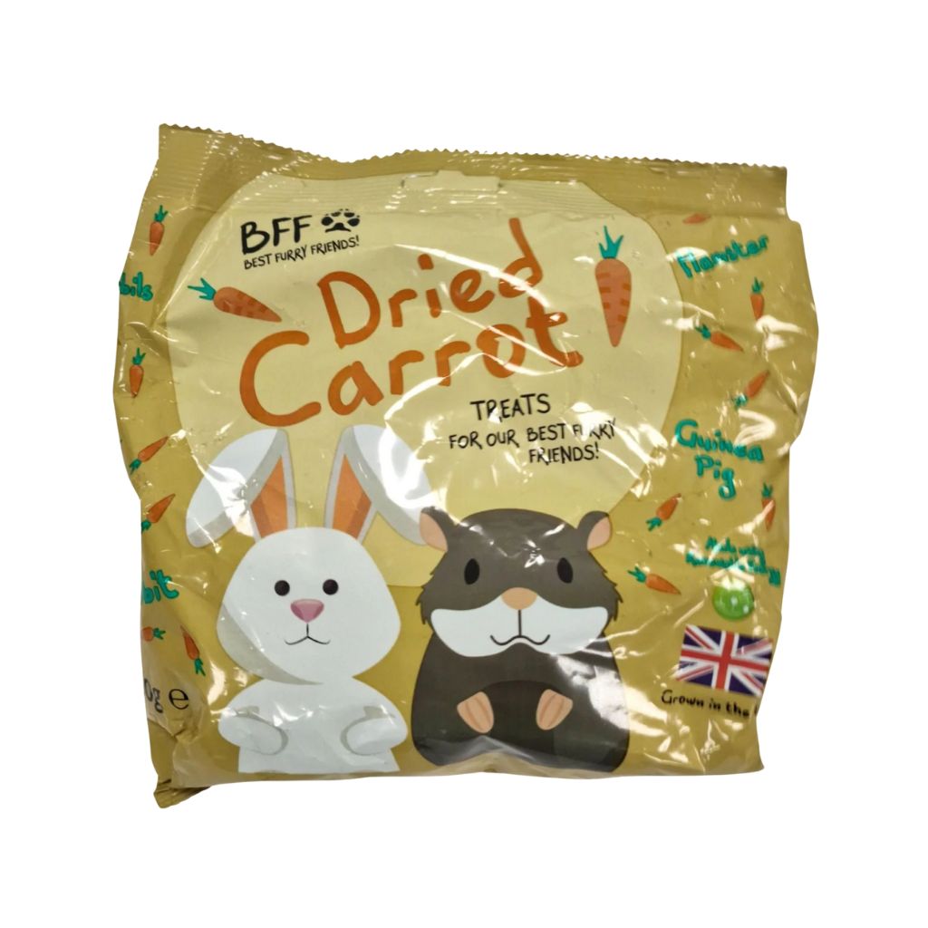 Best Furry Friend Carrot small animal treat