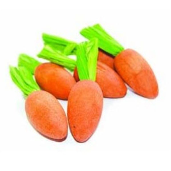 A bright orange and green wooden carrot chew toy by Critter's Choice, designed for small animals to gnaw on.