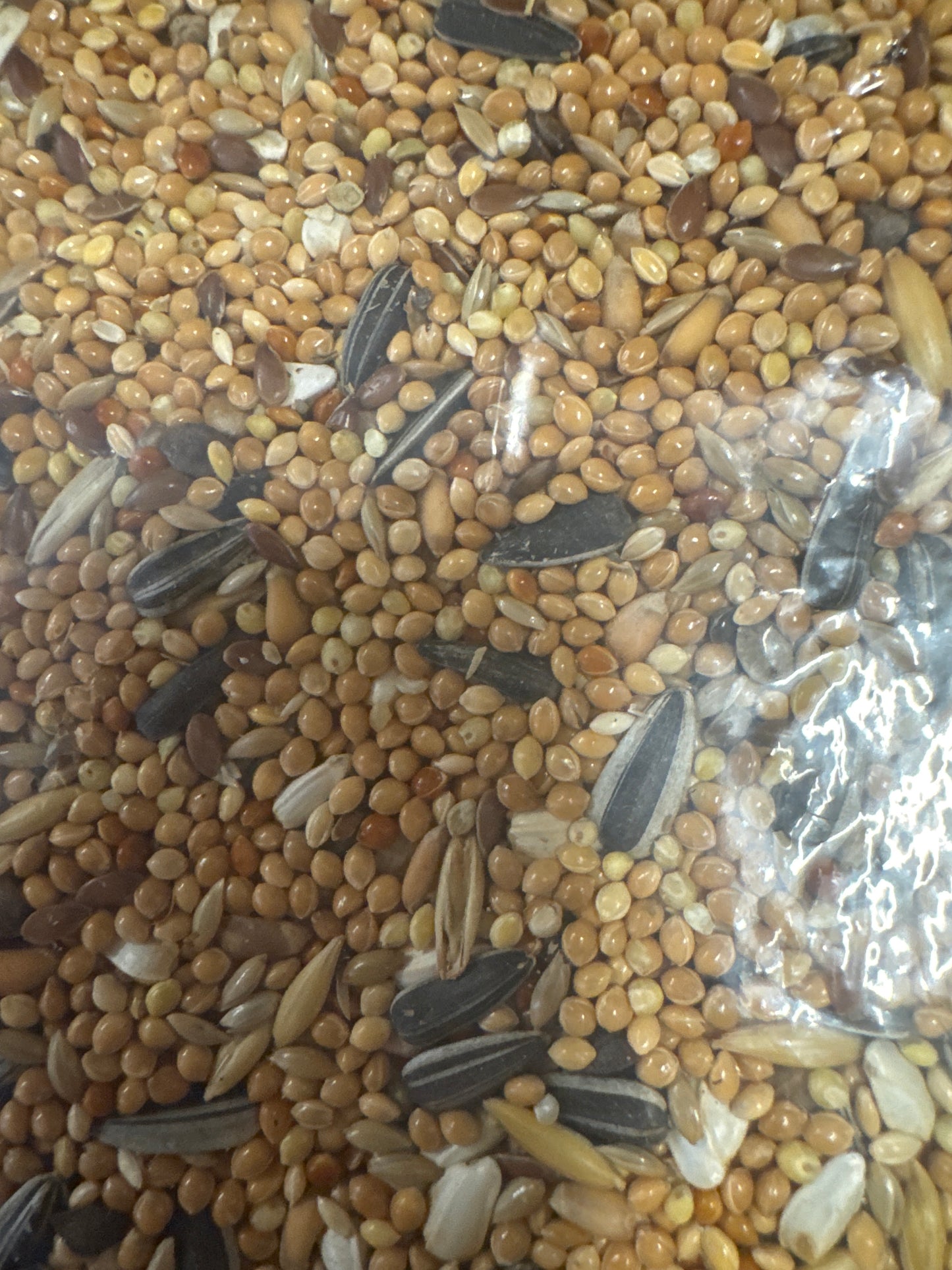 Bestpets Cockatiel & Parakeet Exotic Bird Mix