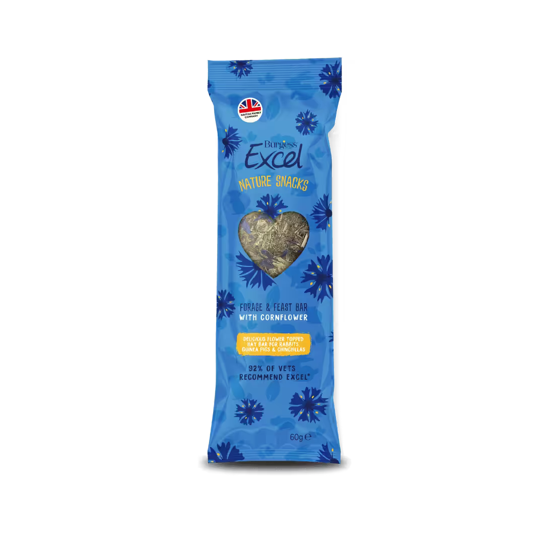 A compressed Burgess Excel Timothy hay forage bar topped with bright blue and purple cornflower petals.