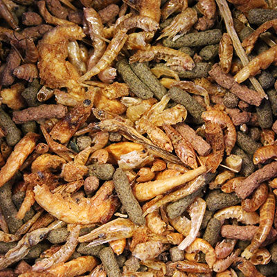 King British Turtle & Terrapin Complete Food close-up of open tub