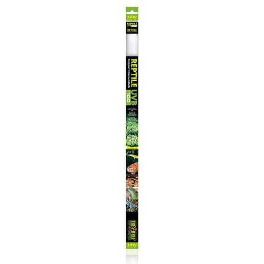 A linear Exo Terra Reptile UVB100 T8 fluorescent bulb for tropical terrarium lighting, showing the branded packaging and tube.