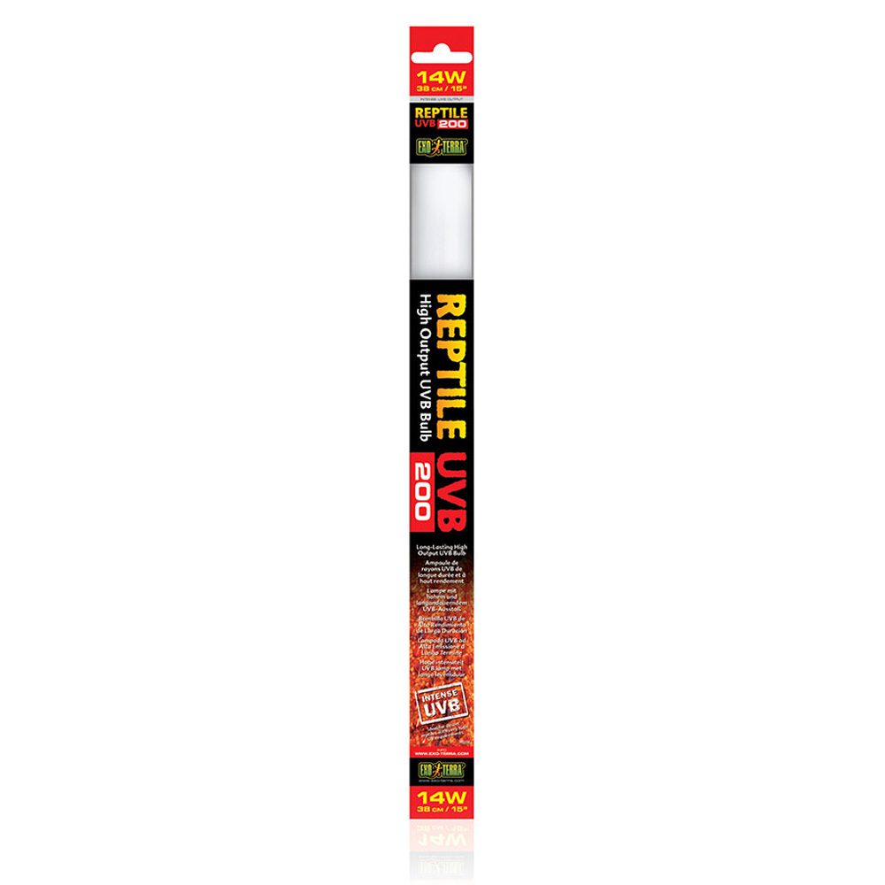 An Exo Terra Reptile UVB200 T8 linear bulb, featuring high-intensity UV output packaging for desert reptiles.