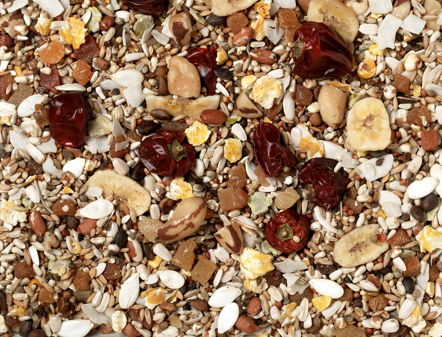 Johnston & Jeff Low Sunflower for African Greys