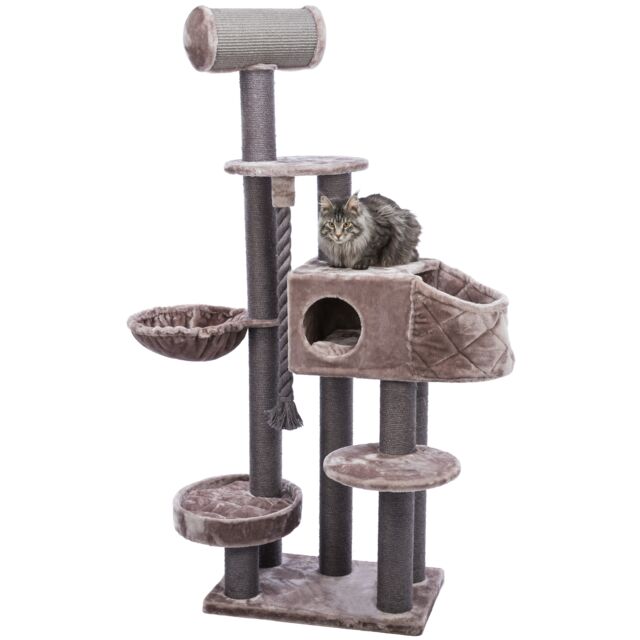 The Trixie XXL Andres cat tree in cappuccino, showing the tall multi-level design, large scratching posts, and spacious cat cave.