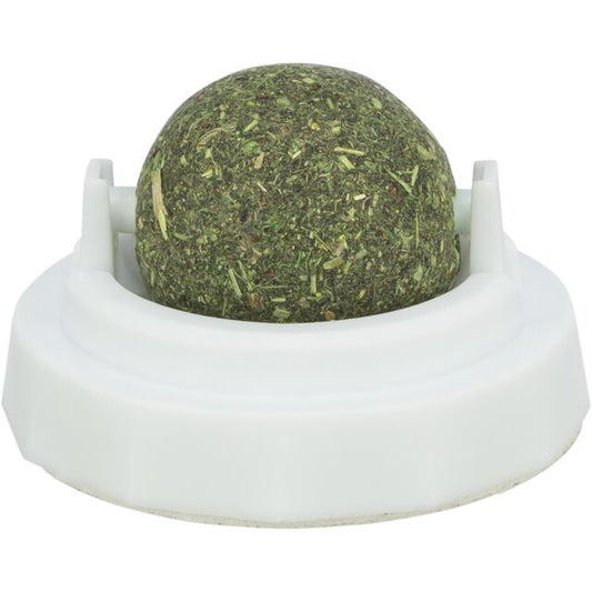 A wall-mounted white plastic Trixie holder containing a round, green compressed catnip ball with a clear protective lid.
