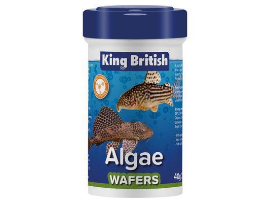 King British Algae Wafers