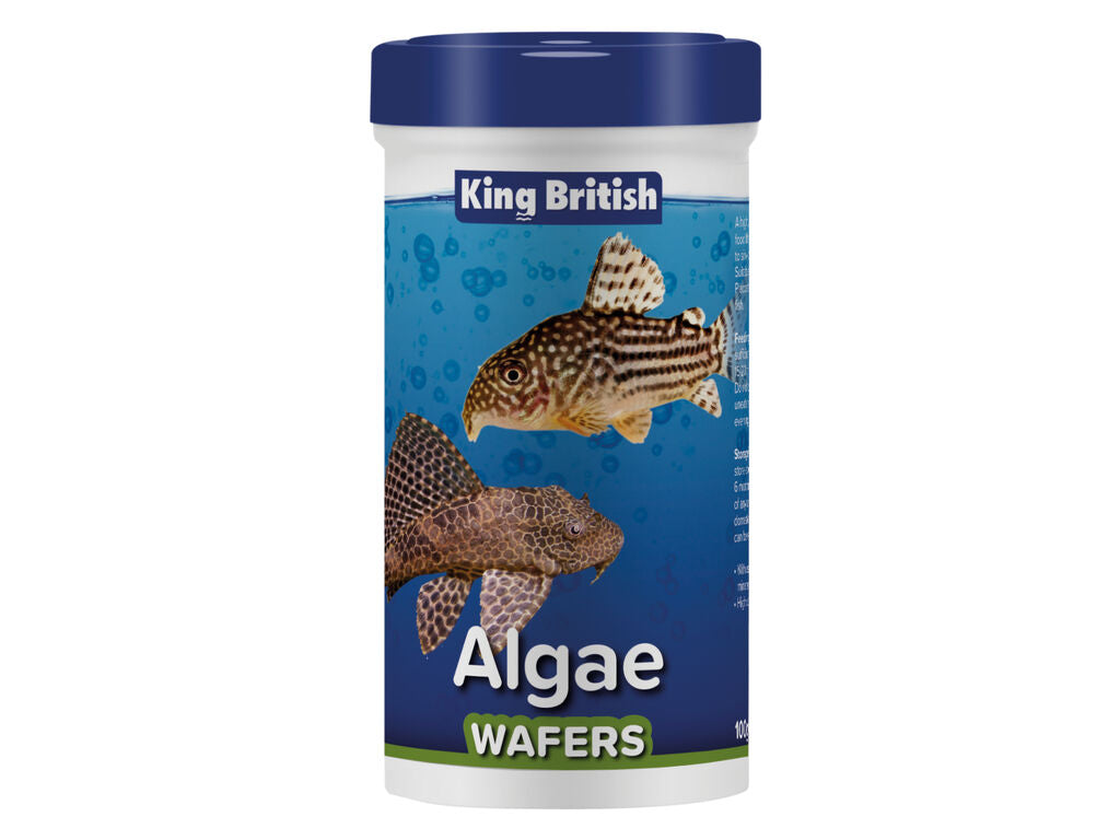 King British Algae Wafers