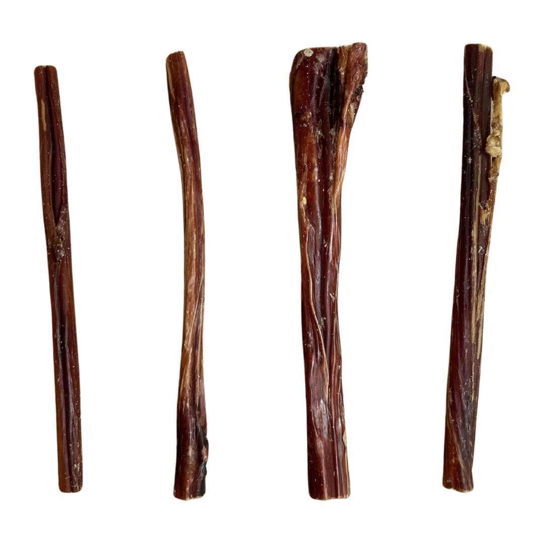 A high-quality Paddock Farm bull pizzle chew for dogs, showing the natural air-dried texture of this premium beef treat, available at Fur & Feathers Grimsby.