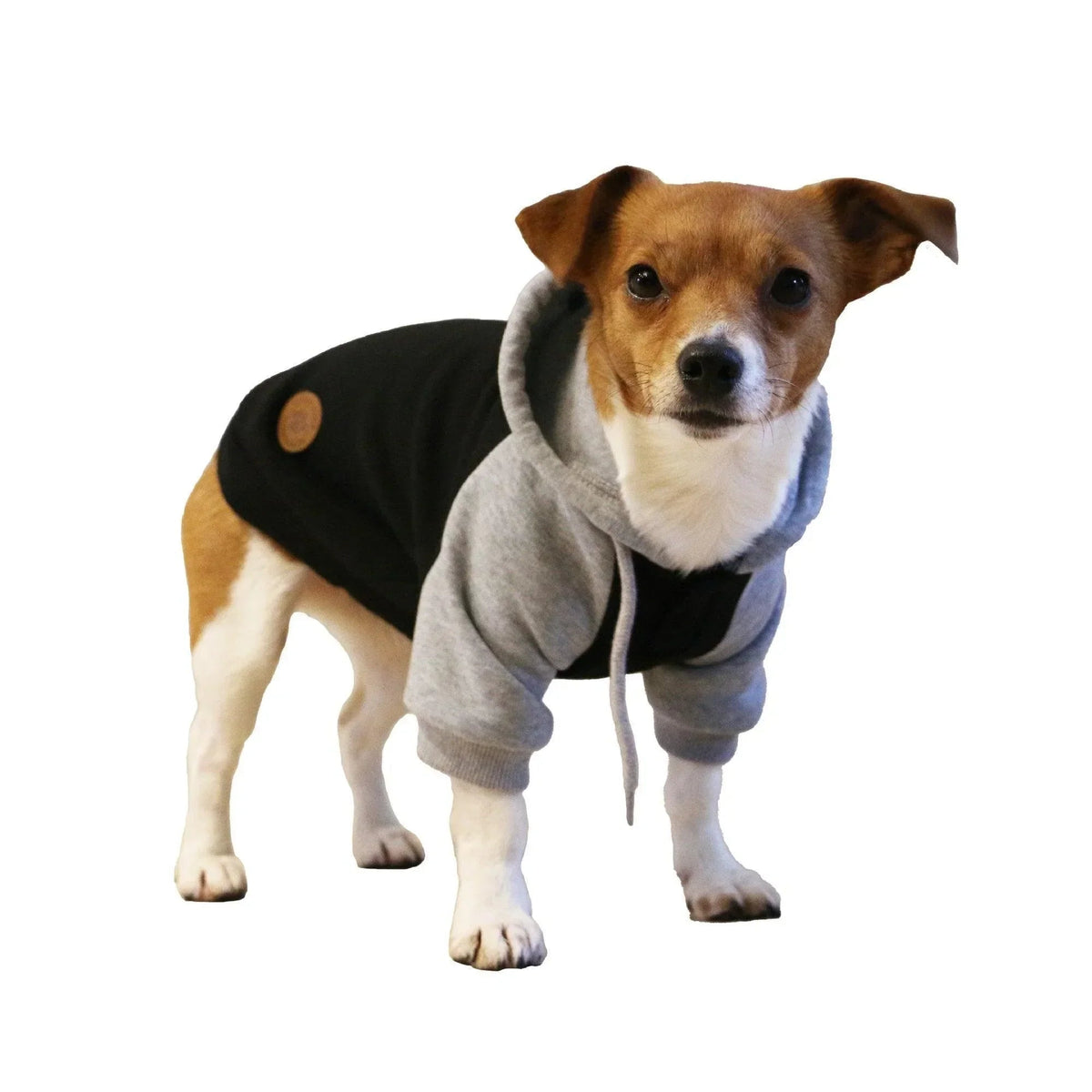 Ancol Muddy Paws Black & Grey Hoodie, Small