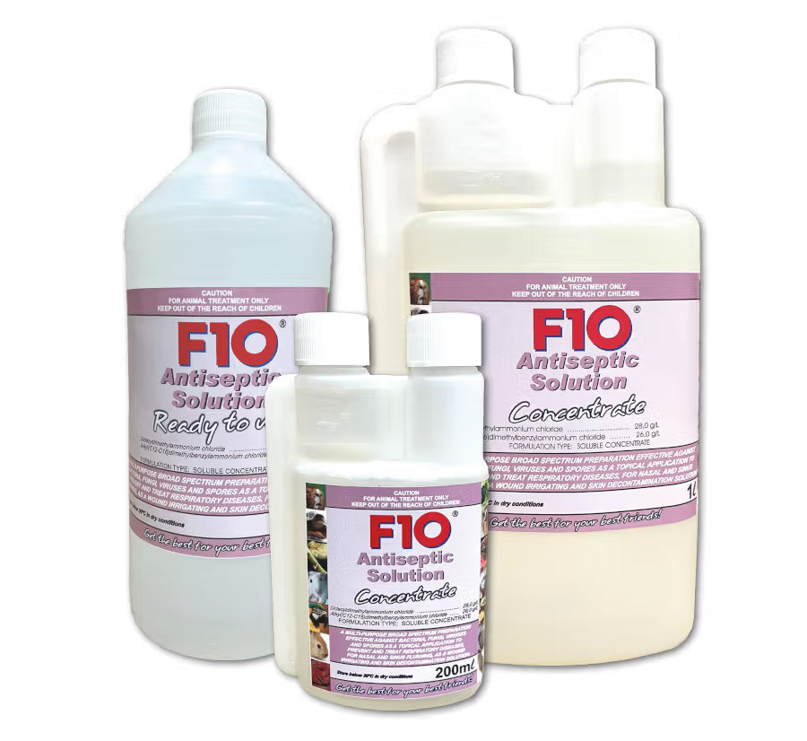 A 1 Litre bottle of F10 Ready to Use Antiseptic Solution featuring a clear label with veterinary first-aid instructions for topical animal care.