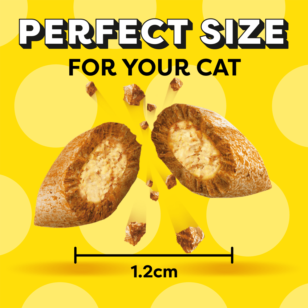 Dreamies Catnip cat treat biscuits pack, second view