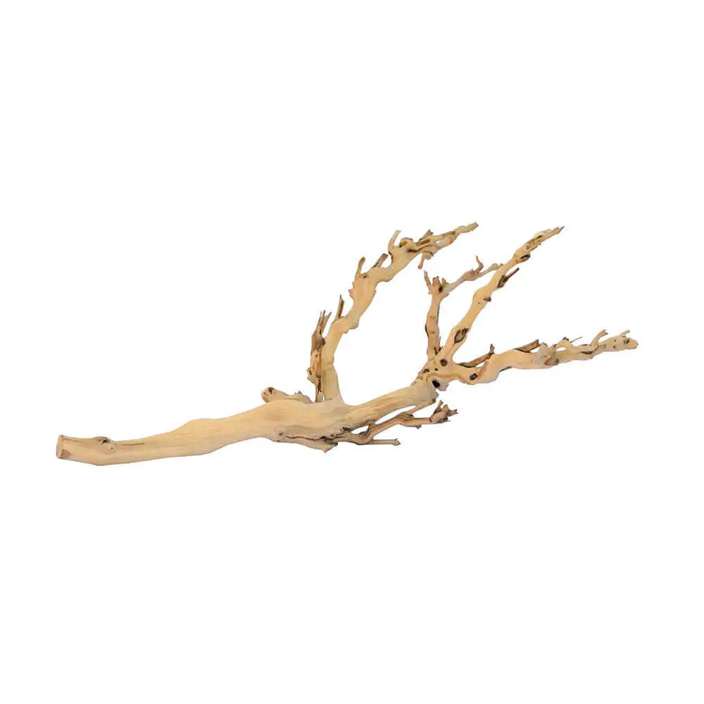 Exo Terra Forest Branch, alternate view