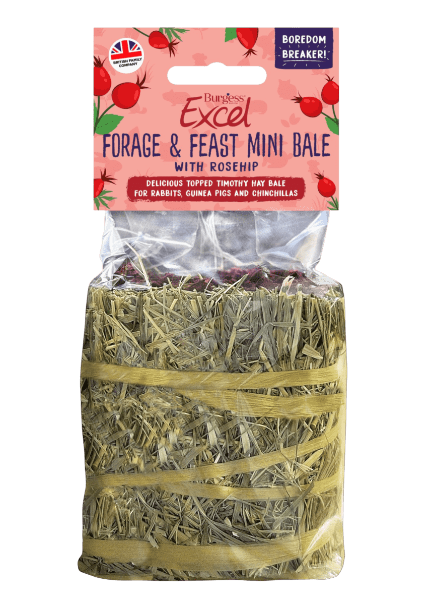 Pack of Burgess Excel Forage & Feast Mini Hay Bale with Rosehip, a foraging treat for small pets