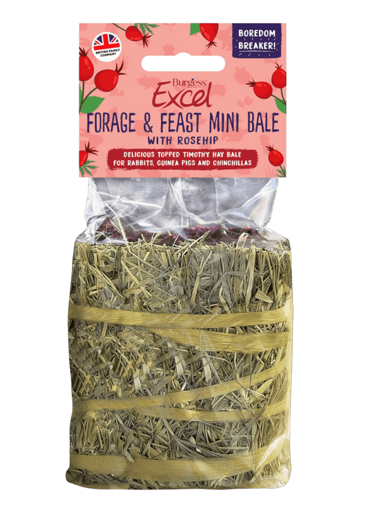 Pack of Burgess Excel Forage & Feast Mini Hay Bale with Rosehip, a foraging treat for small pets