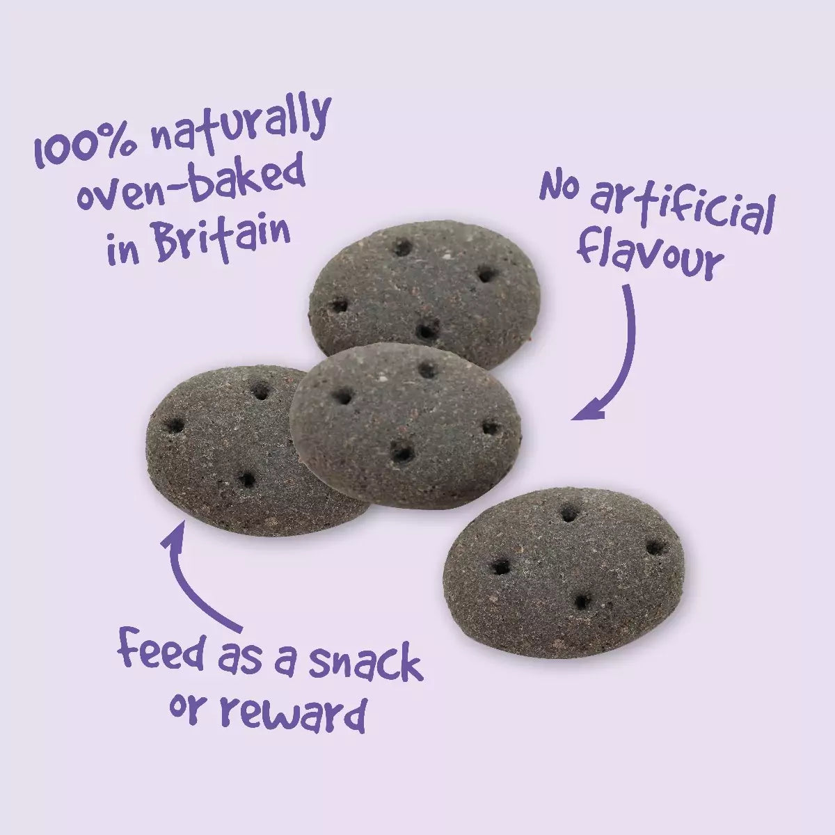 Pointer Charcoal Cobs dog biscuits pack